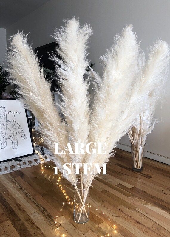 PAMPAS GRASS Extra Fluffy 1 pc White Large 44" Dried - Cortaderia Selloana Tall Bohemian Plant Bo... | Etsy (US)