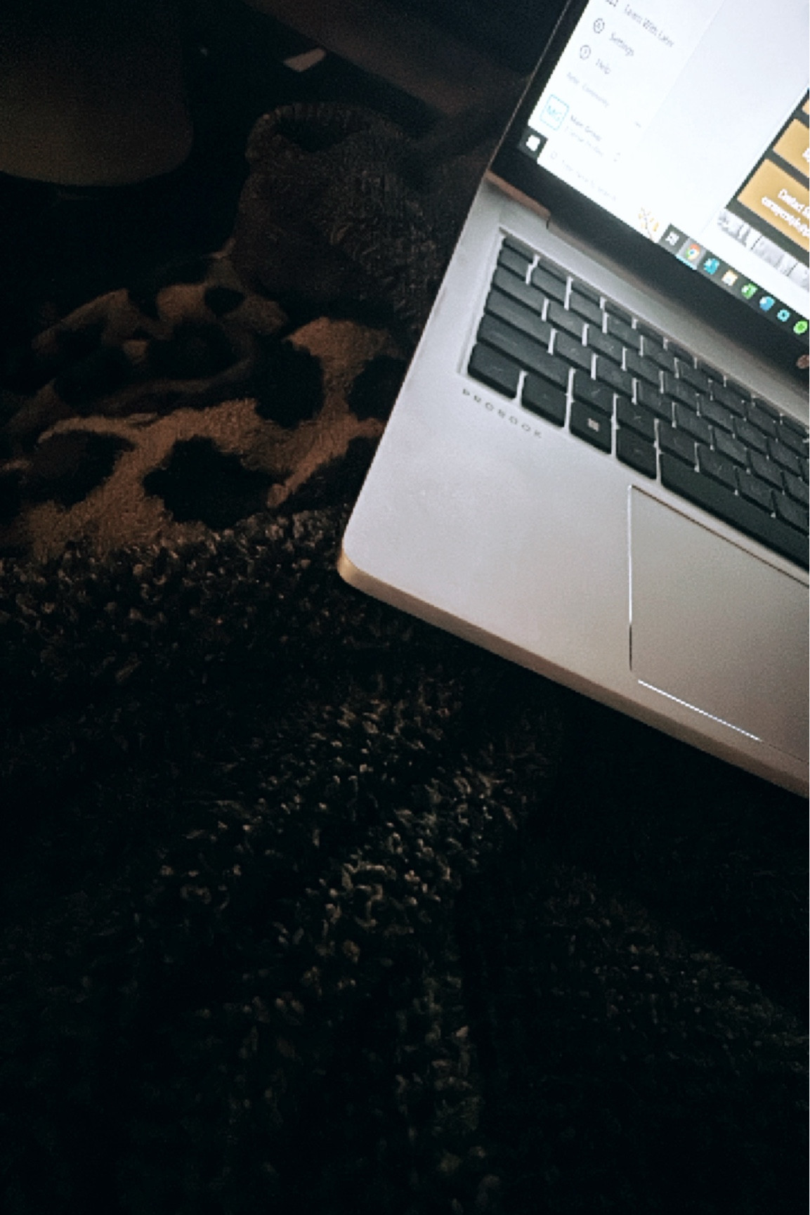 Friday night workin’ and sharin’ the best blankets on earth…I have three 🥰 snuggle in! 

#LTKhome #LTKSeasonal