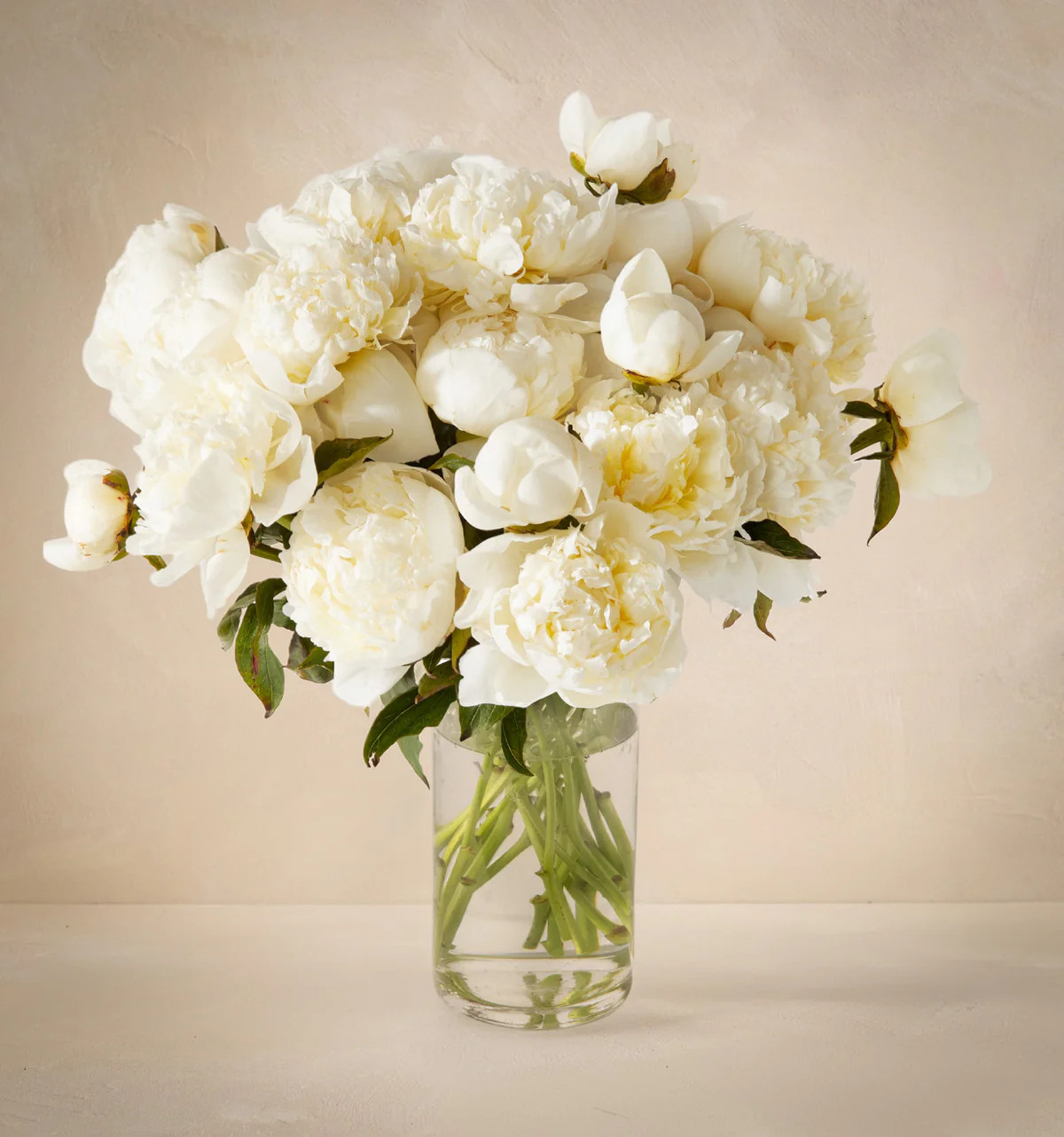 Double the Pearl | UrbanStems