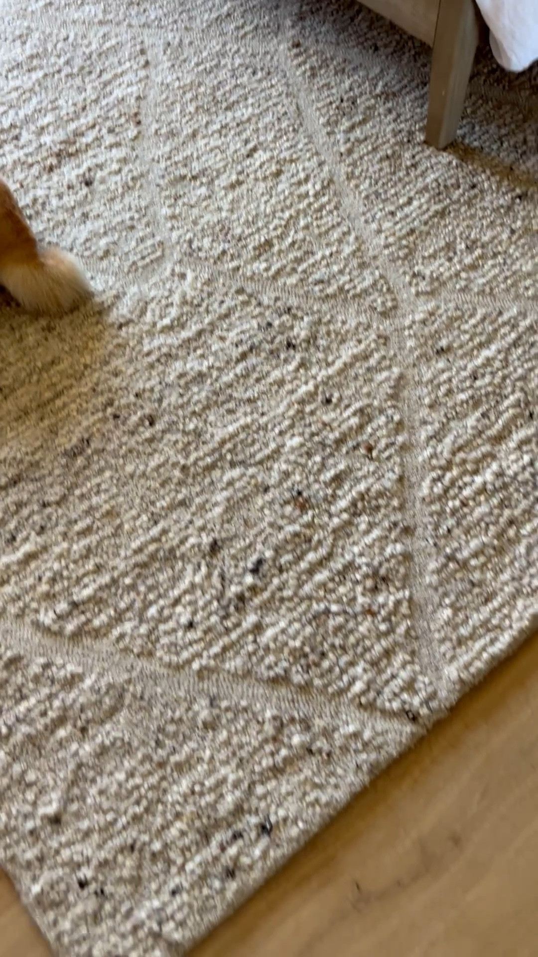 Gorgeous texture on this rug @loloi perfect for bedroom, or any living space in your home 
@Wayfair  for free shipping!

#LTKstorytime #LTKHome #LTKSaleAlert