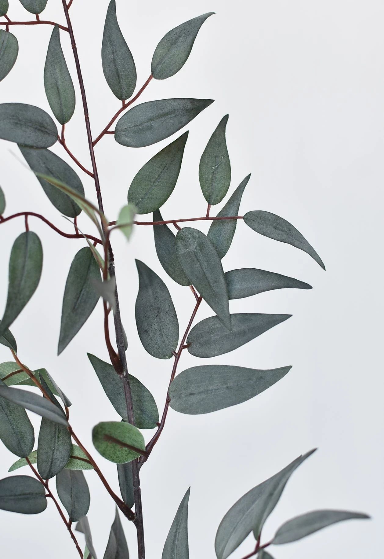 36" Faux Green/Gray Ruscus Leaf Stem | HouseFloral