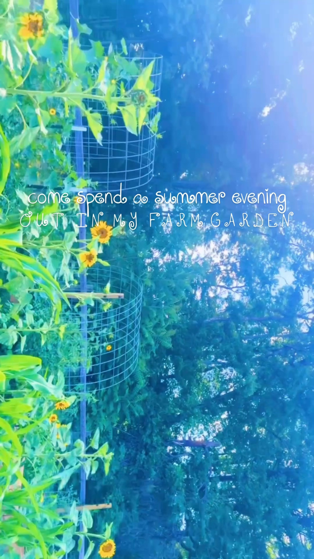 The farm garden 🪴 is just thriving ✨ y’all… I just can’t get over the beauty of it all!!! 🤩 And soooo many sunflowers 🌻, zinnias 💐, and wildflowers 🌼 popping up everywhere!!! 🌸 Eeek!! 🤭 #mygarden #farmgarden #countrygarden 

Oh just the country garden 🪴 of my absolute  d r e a m s 🫑🌶️🍅🌼🫛🪷 out here on our forever farm sweet farm 🚜 - just can’t believe we are **here** - thank you, Lord!! ☀️ Oh and look at the deer deer 🦌 that ran by, too!! 🤗 Nothing like an evening out in my favorite spot watching all the good things grow grow grow!! 🌱🌸 #wherethegoodthingsgrow #flowersonflowers