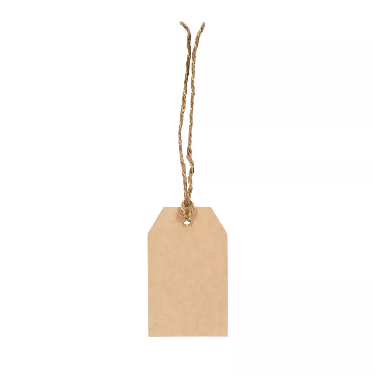 10ct Kraft Gift Tags Brown - Spritz™ | Target