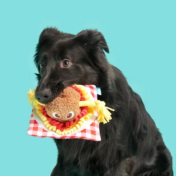 BARK Spaghetti and Muttballs Dog Toy - Features Tug-o-War, Xs to Medium Dogs | Walmart (US)