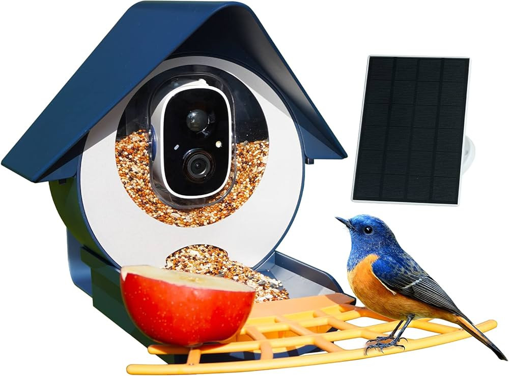 Birdkiss Smart Bird Feeder with Camera Solar Powered, AI Identify Bird Watching Camera, 1080P HD ... | Amazon (US)