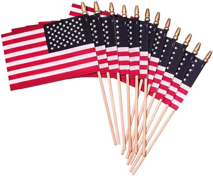 Small American Flags on Stick - Small American Flag - Mini Flags - 4x6 Inch (12Pack) | Amazon (US)