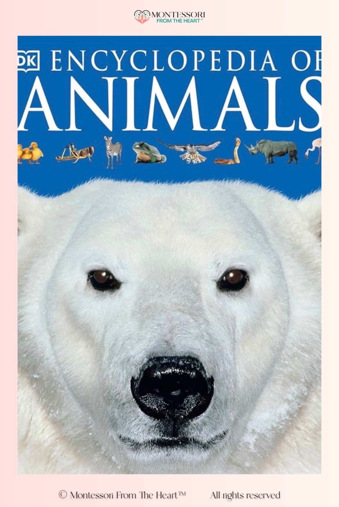 Encyclopaedia of Animals ~ Book for Kids 

#LTKstorytime #LTKKids #LTKHome