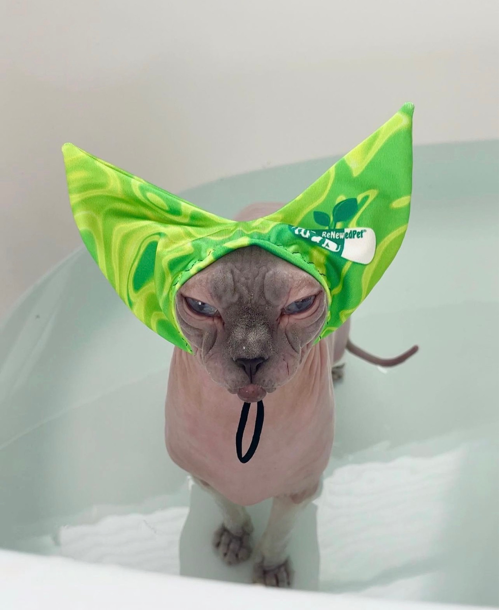 Cat Shower Cap 🚿 

#LTKhome #LTKfamily #LTKFind