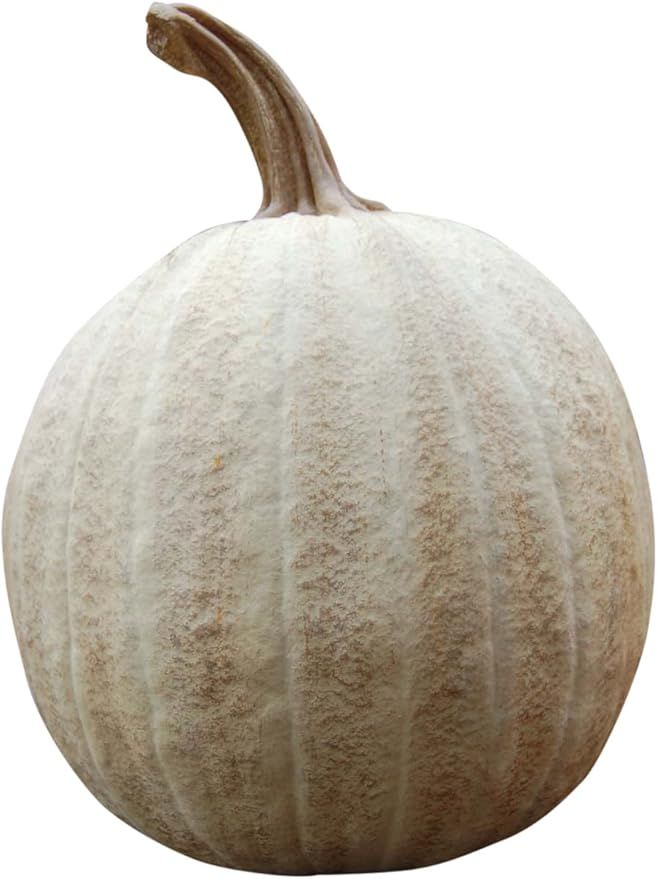 Hickory Manor House Twisted Stem Pumpkin for Home Decor, Butternut | Amazon (US)