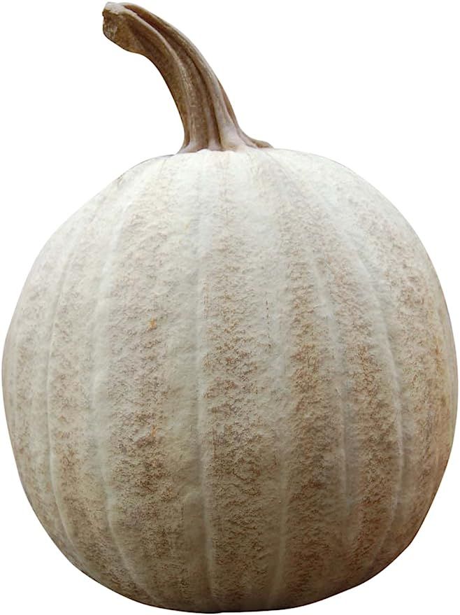 Hickory Manor House Twisted Stem Pumpkin for Home Decor, Butternut | Amazon (US)