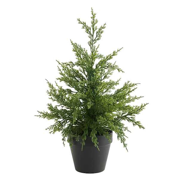 Mini Cedar Tree & Pinecone Arrangement in Pot, 15" | At Home
