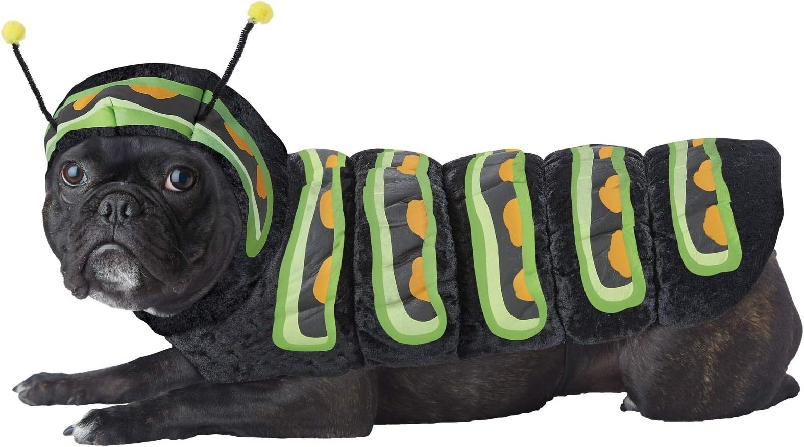 California Costumes Pet CATERPILLAR Dog Costumes, orange, Small US,Green/Black | Amazon (US)