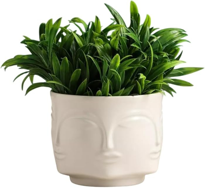 Modern Face Planter Pot – White Plaster Succulent Vase for Home Decor, Small Aesthetic Sculptur... | Amazon (US)