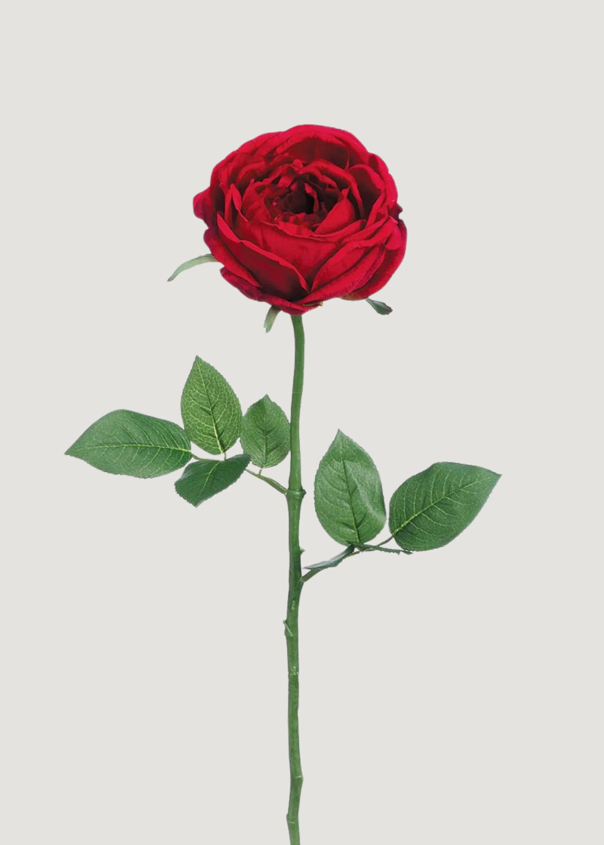 Red Artificial Garden Cabbage Rose - 23" | Afloral