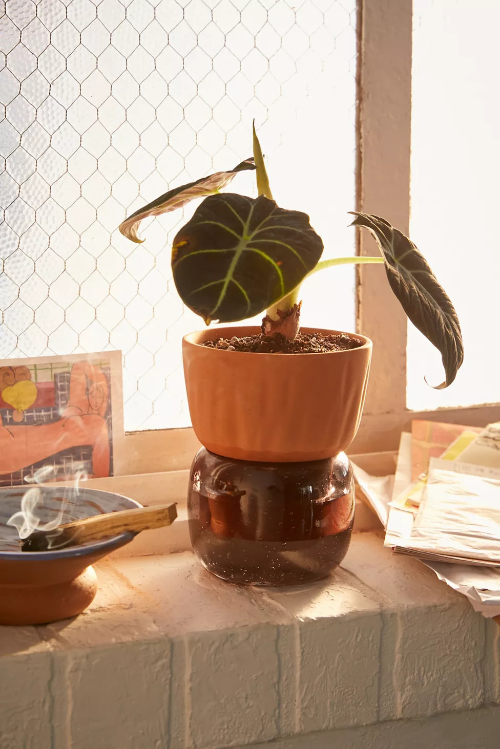 Carmella Small Self Watering Planter | Urban Outfitters (US and RoW)