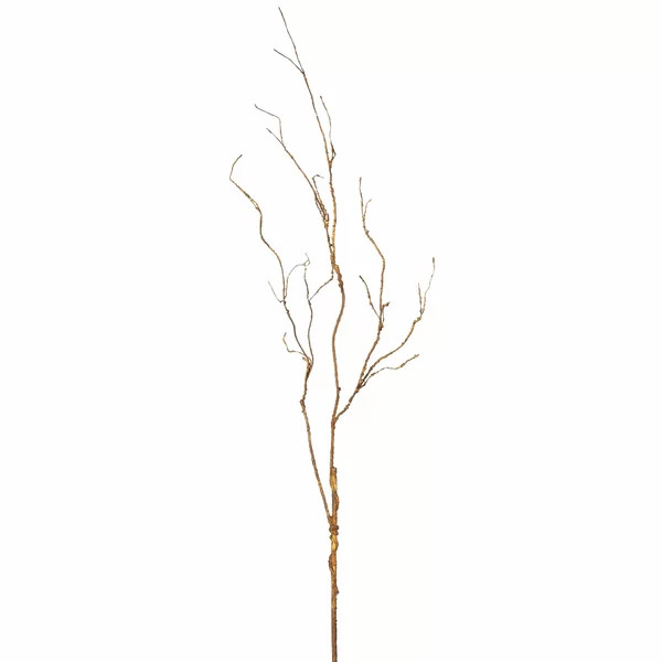 Twig Branch | Wayfair North America