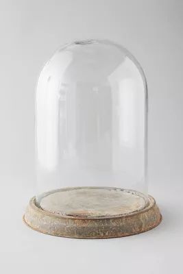 Distressed Iron + Glass Cloche | Anthropologie (US)