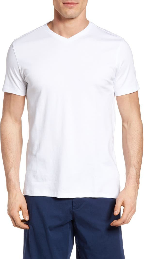 Georgia Regular Fit V-Neck T-Shirt | Nordstrom