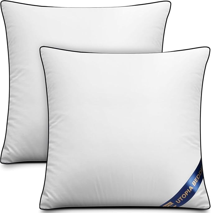 Utopia Bedding Throw Pillow Inserts (Pack of 2, White), 20 x 20 Inches Decorative Indoor Pillows ... | Amazon (US)