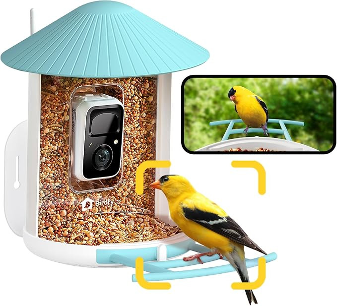 NETVUE by Birdfy Smart Bird Feeder with Camera – AI Identifies Birds Species 2MP Night Vision &... | Amazon (US)
