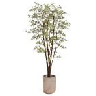 Faux Potted Mini Japan Maple Tree w/ Planter | West Elm (US)