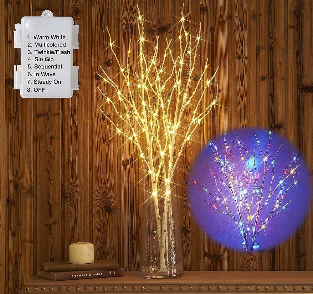 Hairui Lighted Birch Branches Battery Operated with 8 Functions 100 Multi Color and Warm White Li... | Amazon (US)