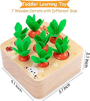 AOJOYS Montessori Toys Baby Easter Toys for Toddlers 1-3 Years Old, Educational Wooden Carrot Toy... | Amazon (US)