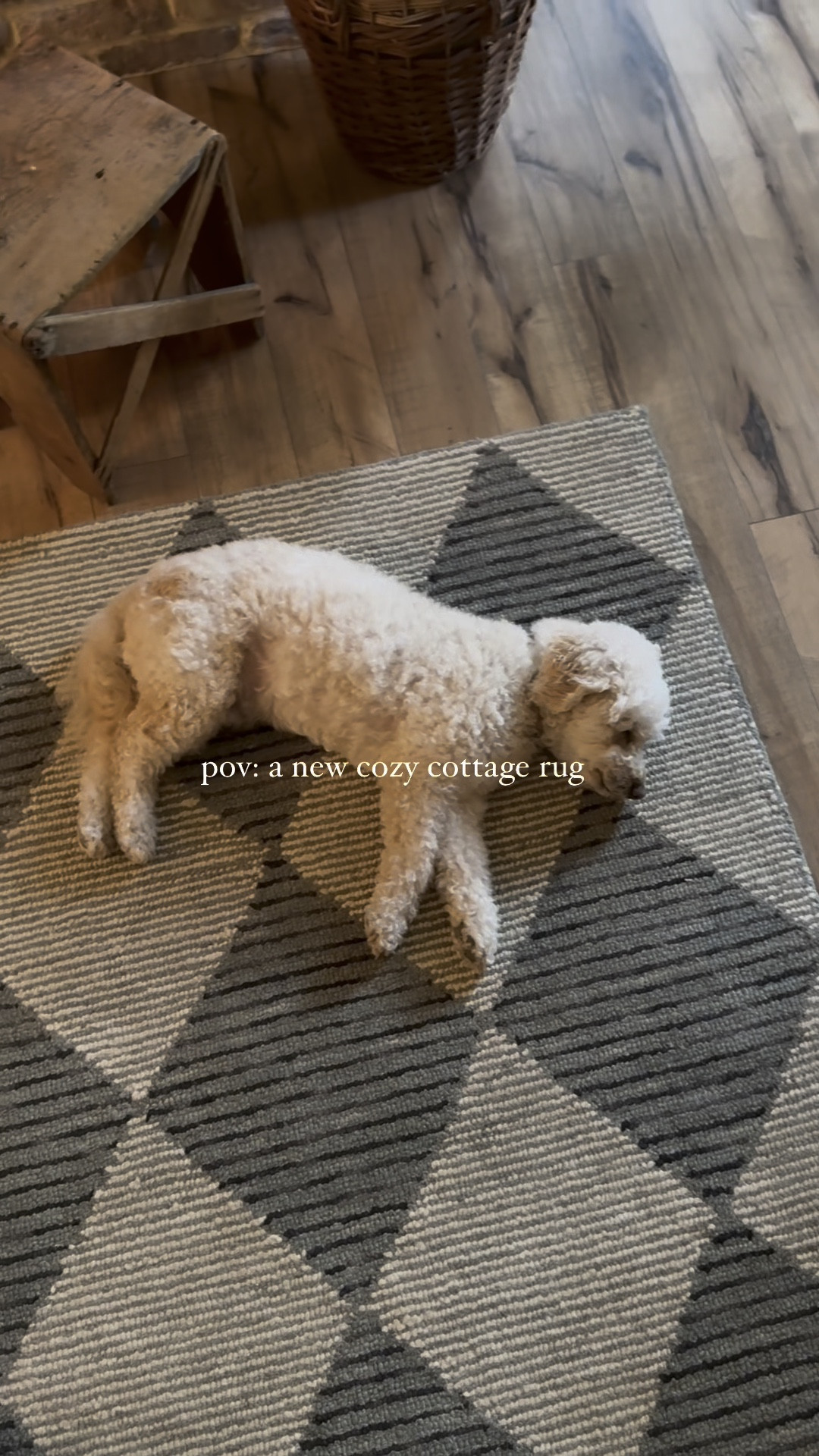 Cozy up, this rug is a game changer! I finally found the perfect rug to add so much charm! It's the @loloirugs x @chrislovesjulia rug-on SALE! It’s so soft and by the looks here i think it’s pet approved lol! The print brings all the cozy cottage charm l adore. ✨ 

If you've been searching for a rug to elevate your space, this is a good one. Plus comes in another color. 

#LTKHoliday #LTKSeasonal #LTKHome

#LTKHoliday #LTKHome #LTKSeasonal