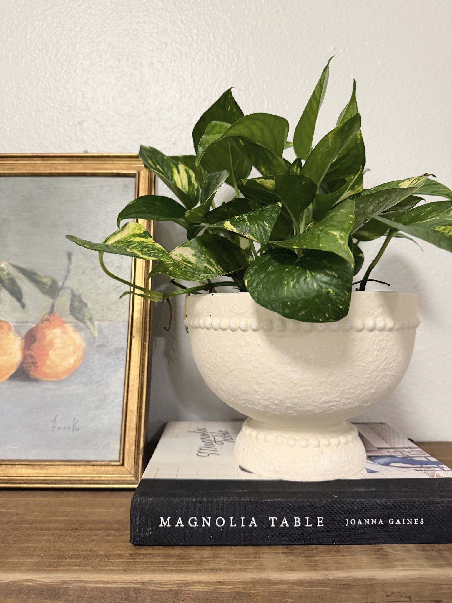 Loving this planter from “My Texas house” collection at Walmart . Linked others as well 🙌🏼

#LTKU #LTKHome