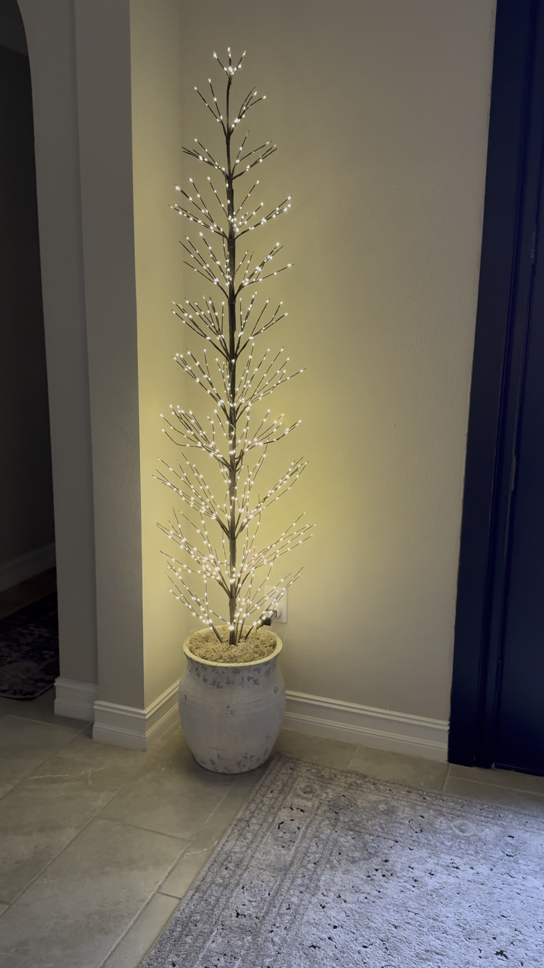 My favorite tree for the holidays!
This is the 7 foot 

Twinkling twig, tree, pottery, barn, twig, tree, birch tree, Christmas tree, pottery, barn, pot, terra-cotta pot 

#LTKVideo #LTKHoliday #LTKhome