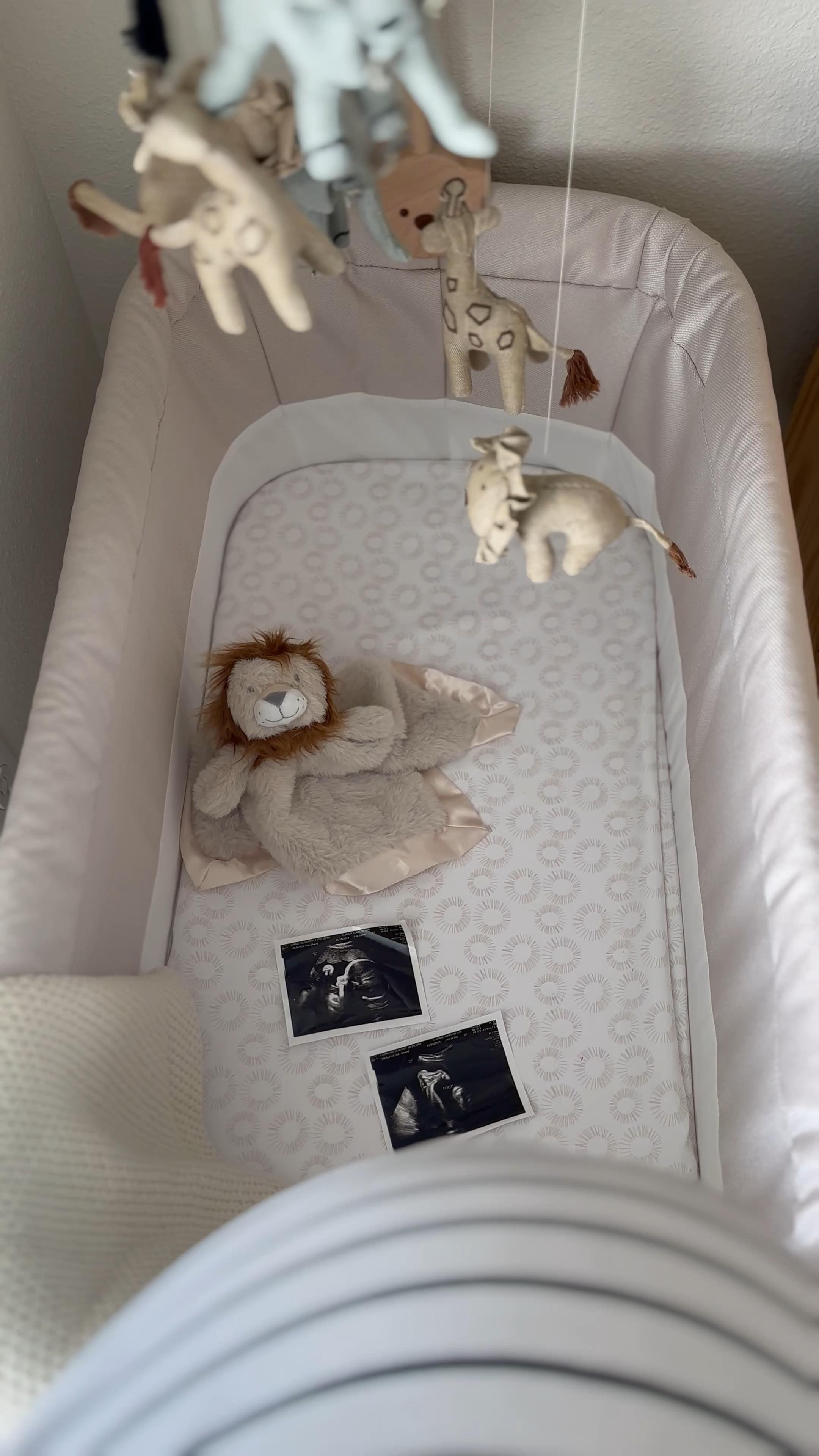 Baby’s bassinet - he’ll be here in less than two weeks. 🐰

We live in a 1 bedroom apartment, so baby will be co-sleeping in the same room for a few months. 🫶🏼 

#LTKnursery #LTKbabyfind #LTKregistrymusthave #LTKbassinet #LTKmomtobe

#LTKbaby #LTKFind #LTKhome