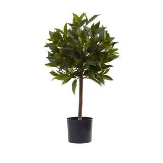 2ft. Potted Sweet Bay Mini Ball Topiary Tree | Michaels Stores