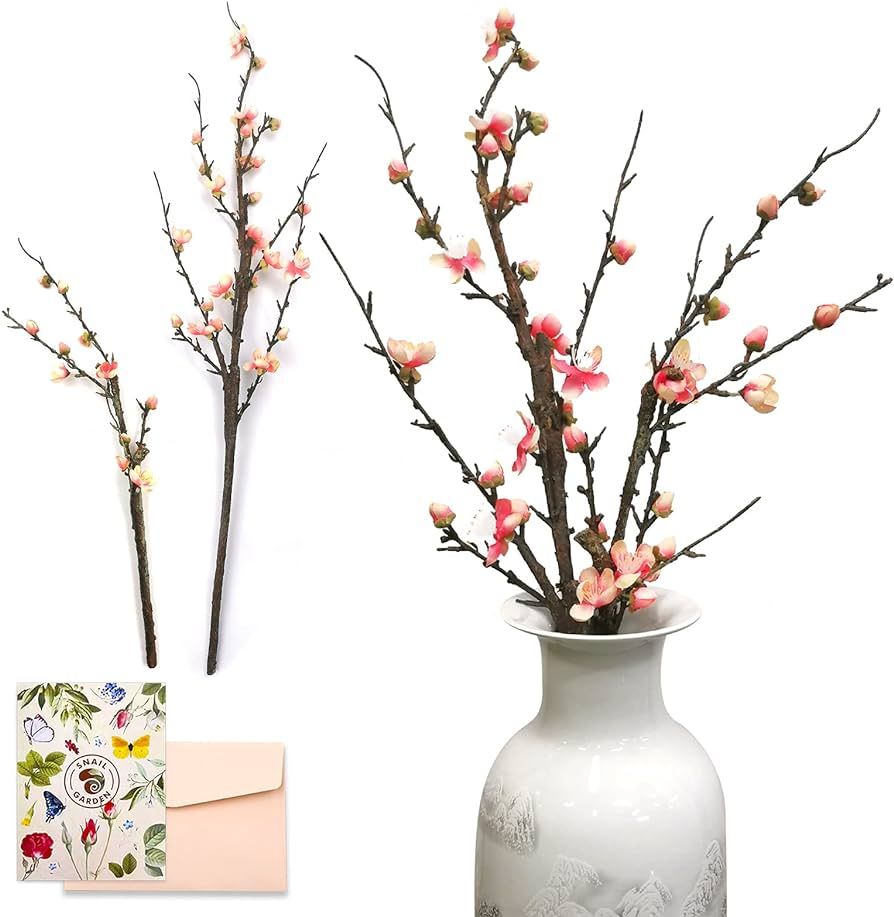 SNAIL GARDEN 2Pack Artificial Plum Blossom Flowers, Faux Long Stem Plum Blossom Bouquet with 13 H... | Amazon (US)