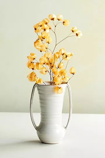 Preserved Bougainvillea Bunch | Anthropologie (US)