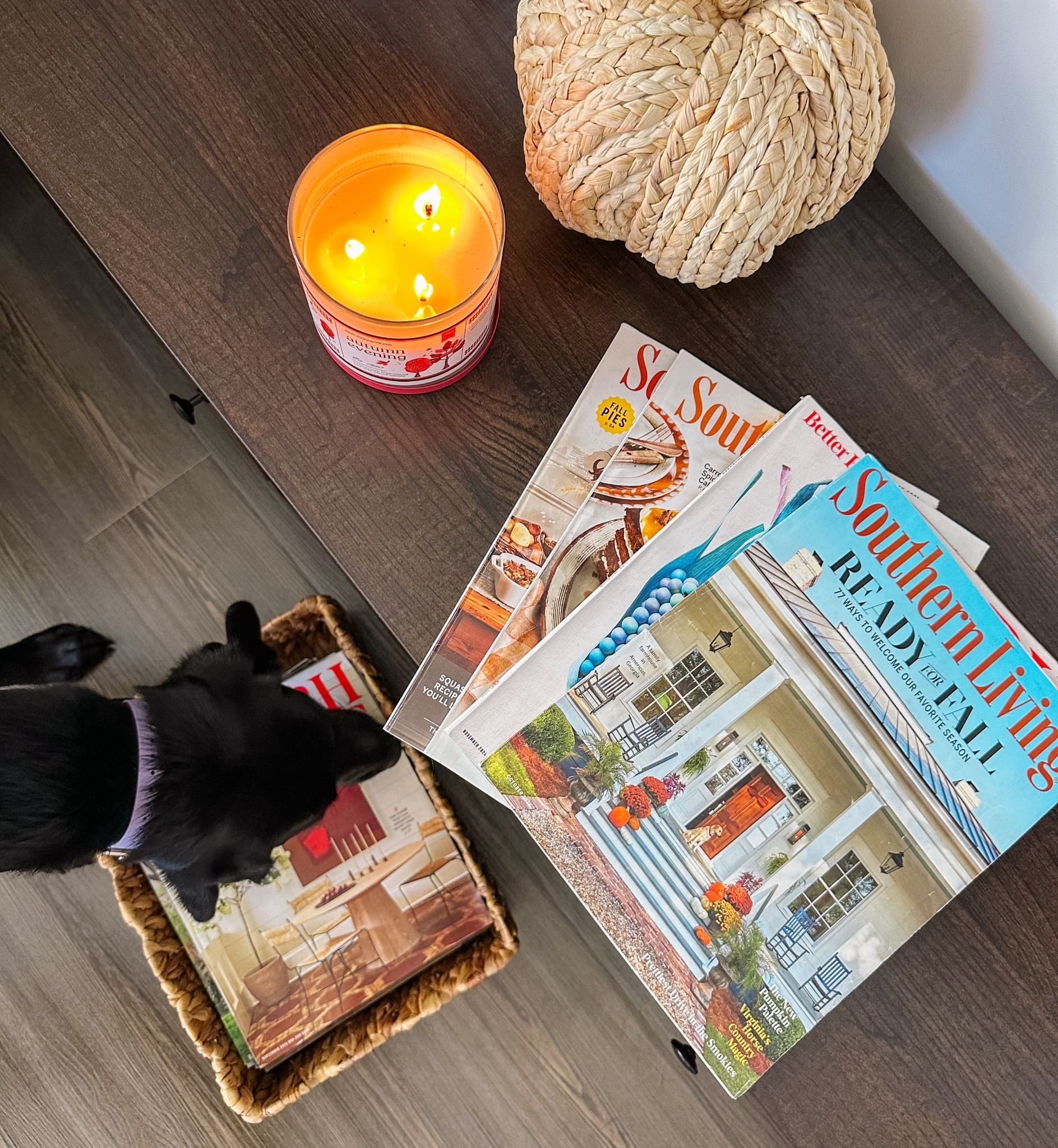 Tis the season for going back to my old Southern Living & Better Homes and Gardens magazines and looking for fall inspiration! I love picking out recipes & home decor inspiration for the seasons from past editions, it feels like going back in time 🤎🍁

#LTKHome #LTKSeasonal