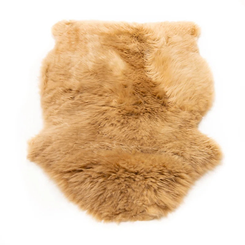 Charleigh Handmade Shag Sheepskin Honey Brown Area Rug | Wayfair North America