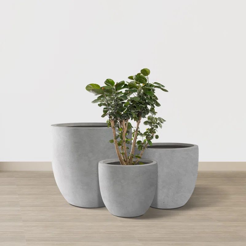 3 - Piece Pot Planter Set (Set of 3) | Wayfair North America
