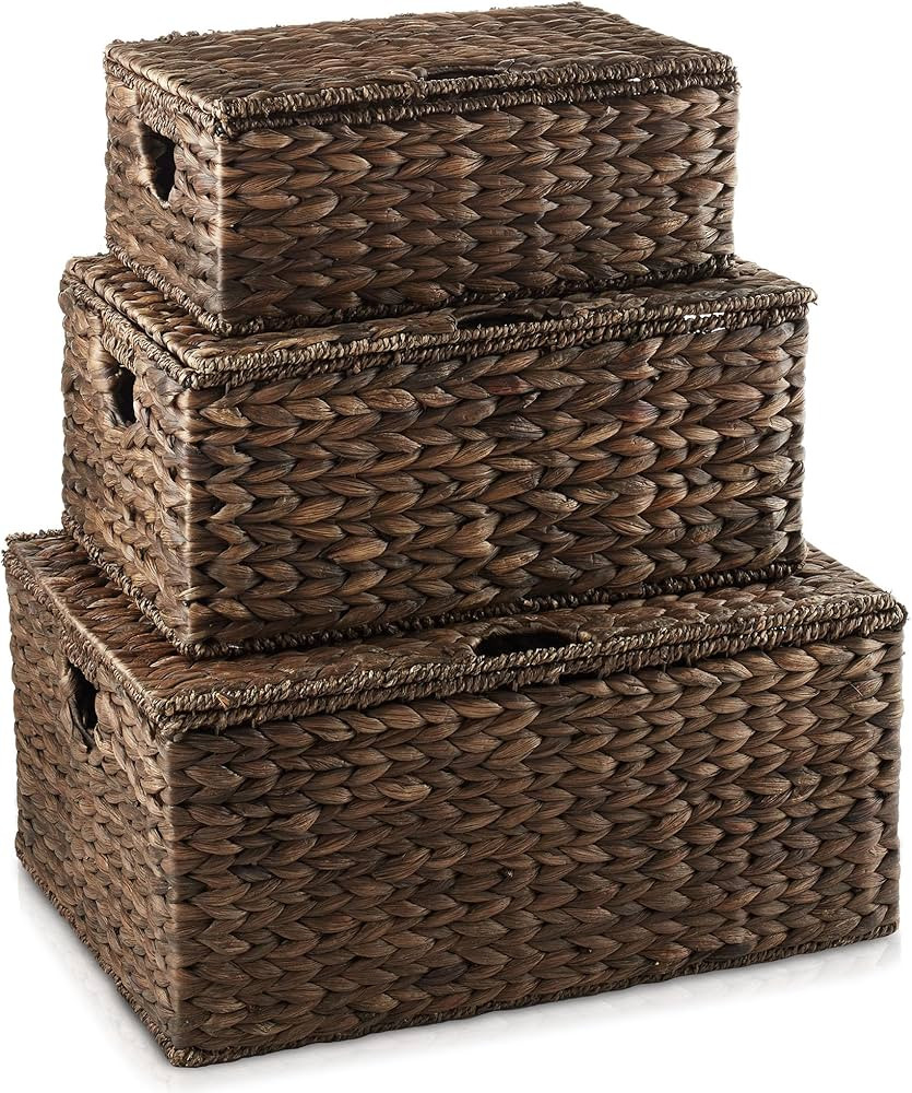 Casafield Set of 3 Water Hyacinth Rectangular Storage Baskets with Lids (Espresso - Small/Medium/... | Amazon (US)