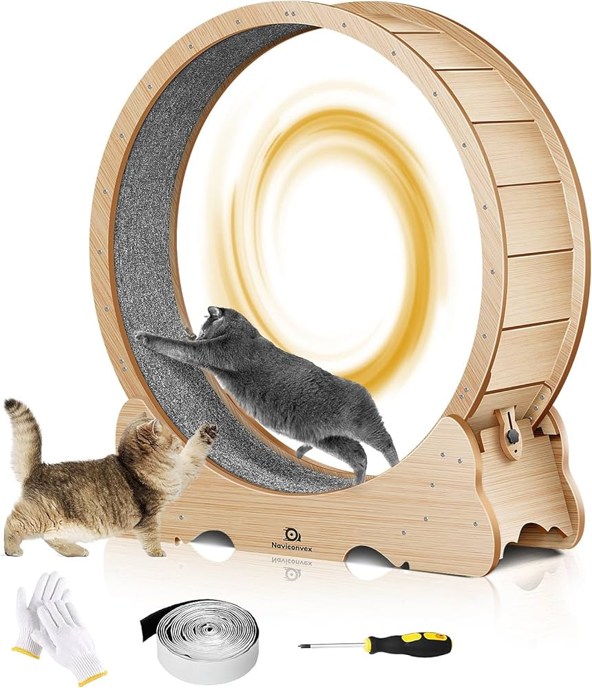 Cat Wheel, 43" L Large Cats Exercise Running Wheel, Cat Treadmill for Indoor Cats | Amazon (US)