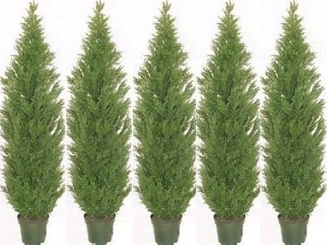 Five 7 Foot Artificial Cedar Topiary Trees Potted Indoor or Outdoor | Amazon (US)