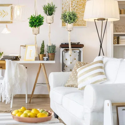 Artificial Plants 3 Pack Mini Fake Hanging With Macrame Plant Hangers Decorative Faux Greenery Decor For Shelves Wall Kitchen Farmhouse Bathroom Home | Wayfair North America