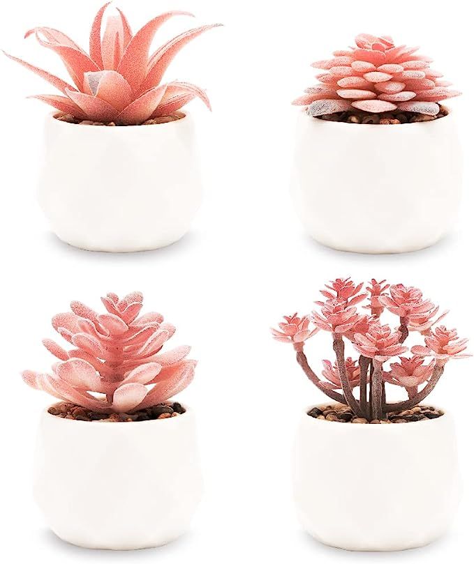 VIVERIE Pink Faux Succulents in White Ceramic Pots (Set of 4) - Mini Life-Like Artificial Rose Pi... | Amazon (US)