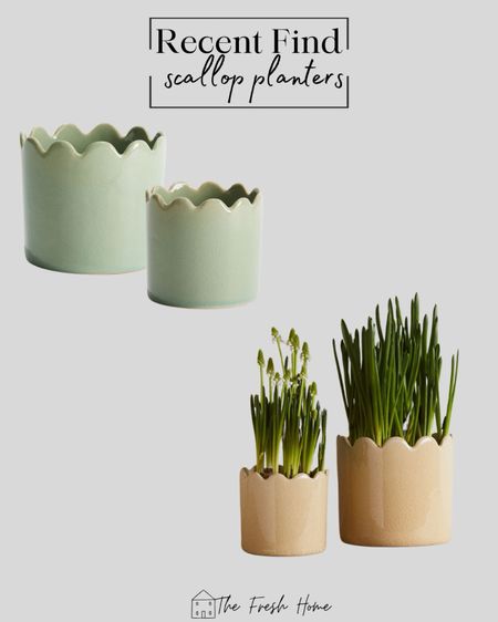 How cute are these scallop pots, planters?! 

#LTKstyletip #LTKfindsunder50 #LTKhome