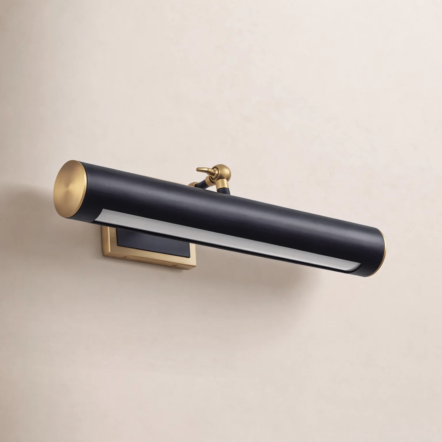 Dimmable LED Picture Light | Birch Lane