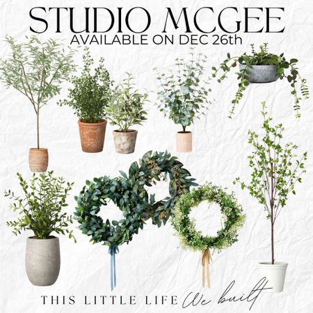 Studio McGee / Studio Mcgee at Target / Studio McGee New Release / Studio Mcgee Home Decor / Spring greenery / Faux wreaths / faux trees / outdoor faux trees

#LTKSeasonal #LTKhome #LTKstyletip