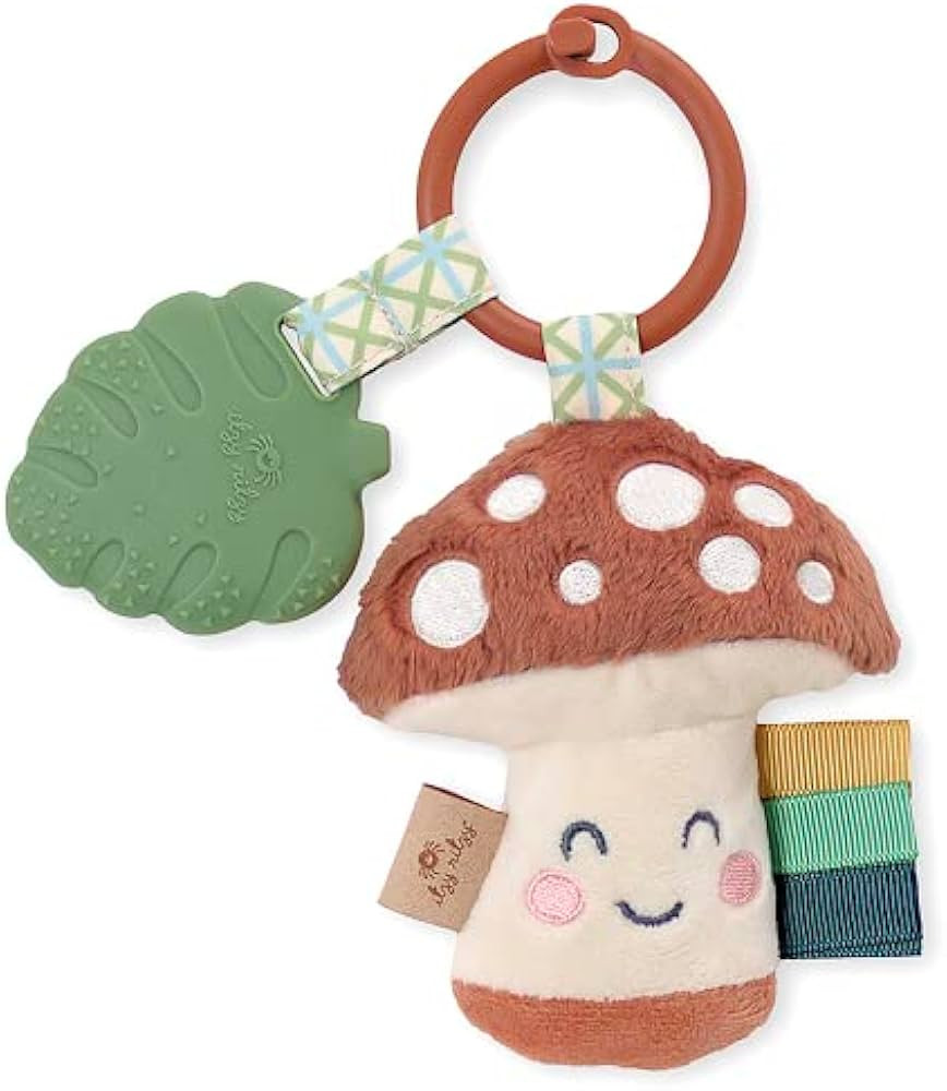 Itzy Ritzy Infant Toy & Teether - Itzy Pal Baby Teething Toy Includes Lovey, Crinkle Sound, Textu... | Amazon (US)
