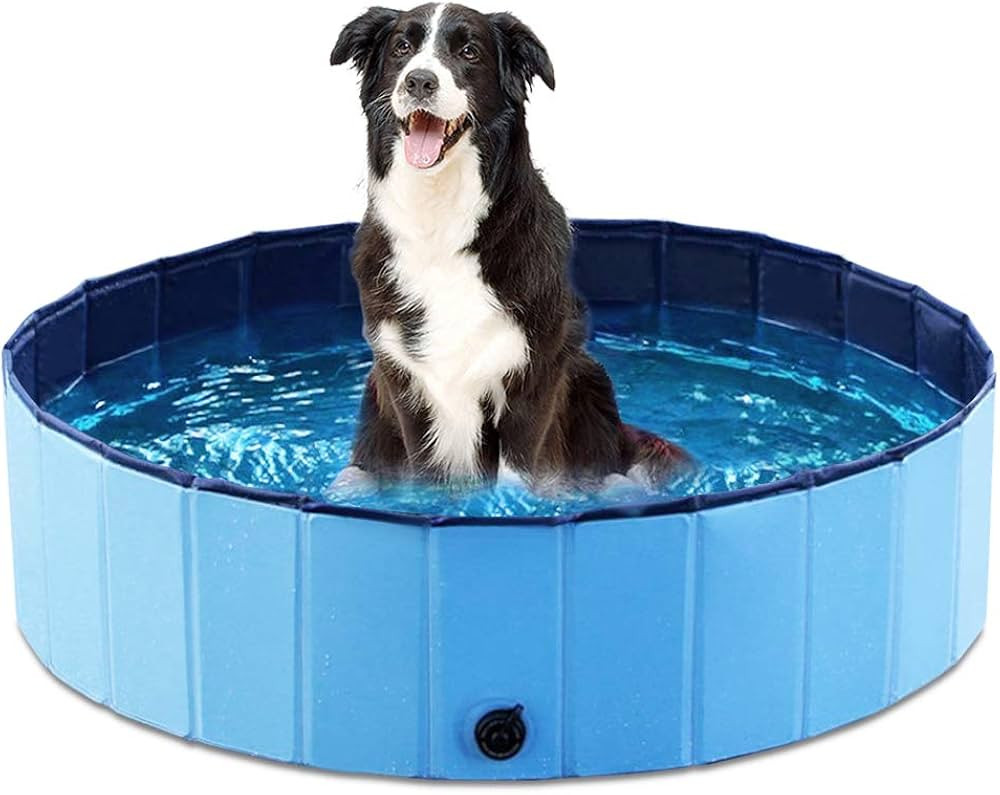 Jasonwell Foldable Dog Pet Bath Pool Collapsible Dog Pet Pool Bathing Tub Kiddie Pool Doggie Wadi... | Amazon (US)