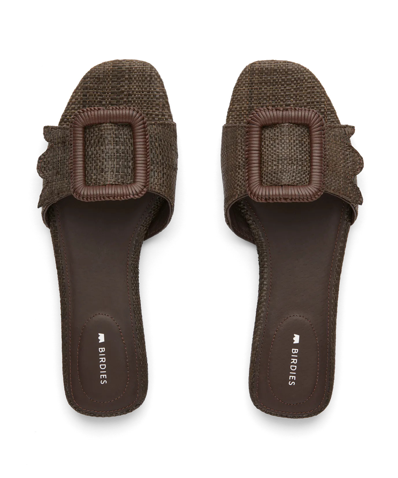 The Kiwi - Chocolate Raffia | BIRDIES