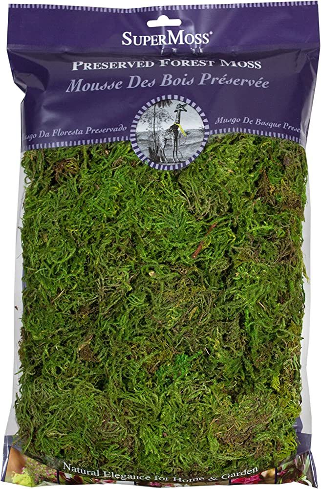 SuperMoss (25322) Forest Moss Preserved, Fresh Green, 8oz | Amazon (US)