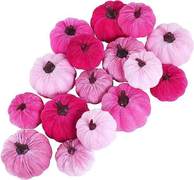 Set of 16 Faux Assorted Velvet Pumpkins Decorative Pink Fabric Pumpkins Foam Pumpkins for Farmhou... | Amazon (US)